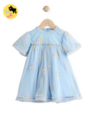 Blue Embroidered Flower Mesh Baby Dress