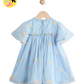 Blue Embroidered Flower Mesh Baby Dress