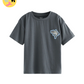 Grey 100% Cotton Short Sleeve T-Shirt